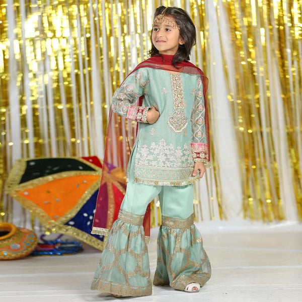 SHIMMERY NET GHARARA 3 PC SUIT